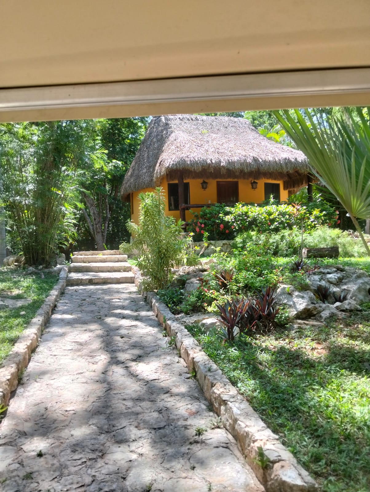 Sendero a una cabaña entre la selva de Yucatán